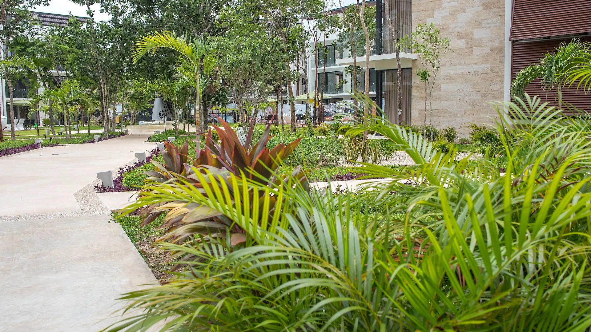 Central Park 103C By Imexico Playa del Carmen